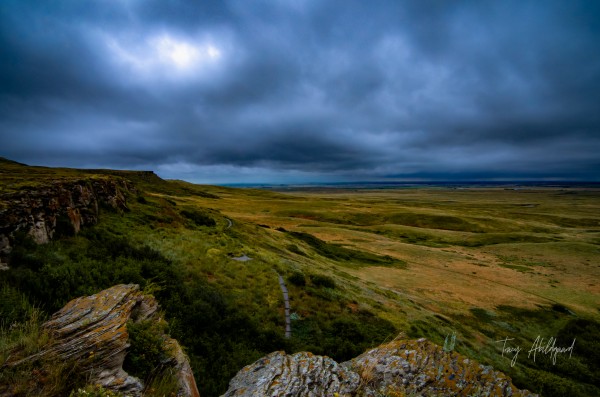 Smashed in Buffalo Jump Landscape Hi Res   A3 by Tracy Abildgaard